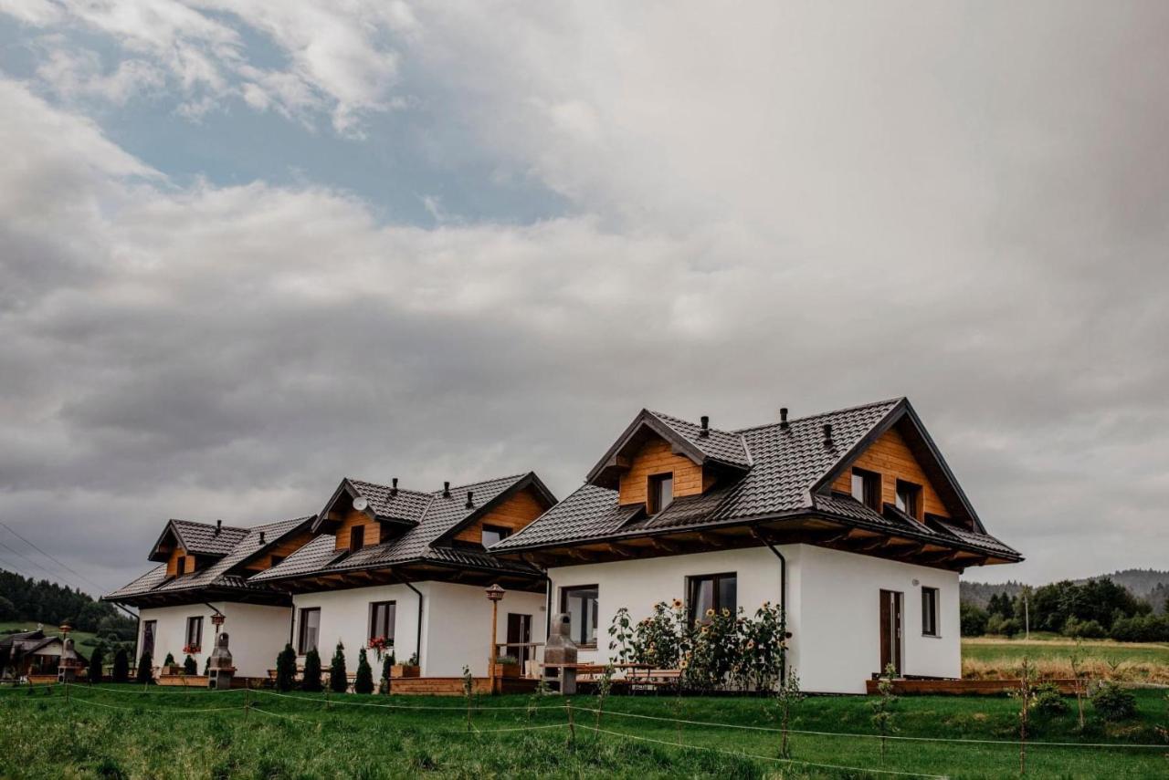Domki Pod Wulkanem Krosnica (Lesser Poland) Exterior foto